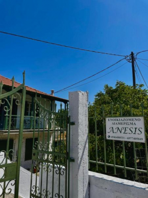 ANESIS